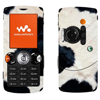   « »   Sony Ericsson W810i