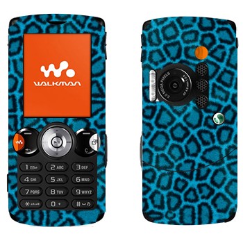   «  »   Sony Ericsson W810i