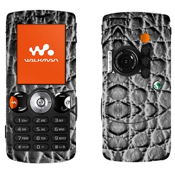   «  »   Sony Ericsson W810i