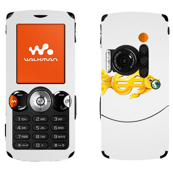 Sony Ericsson W810i