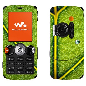   « »   Sony Ericsson W810i