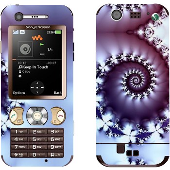 Sony Ericsson W890