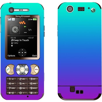 Sony Ericsson W890