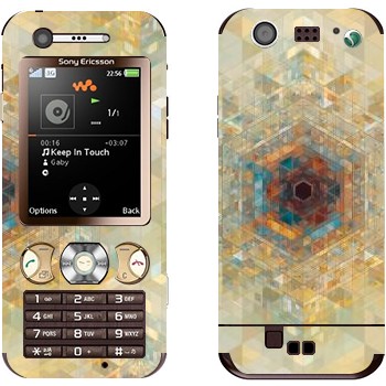 Sony Ericsson W890