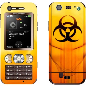   «  »   Sony Ericsson W890