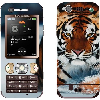 Sony Ericsson W890