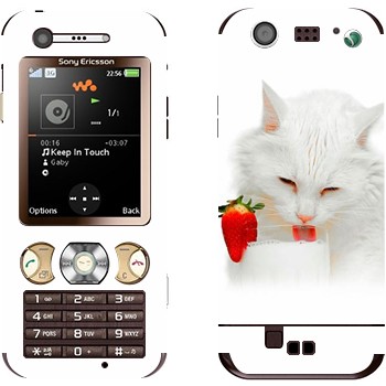   «   »   Sony Ericsson W890