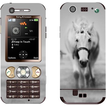 Sony Ericsson W890