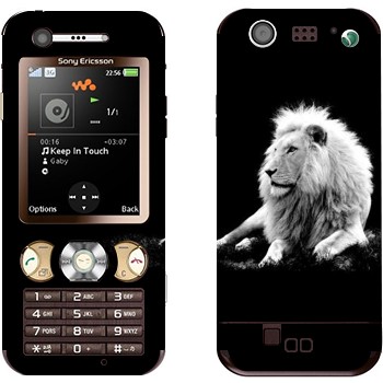 Sony Ericsson W890