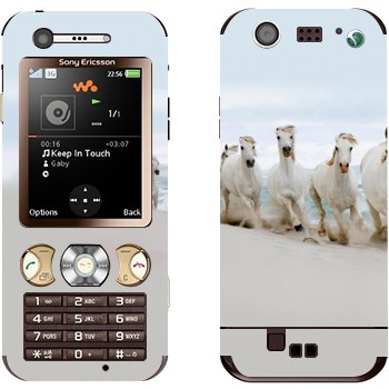   «   »   Sony Ericsson W890