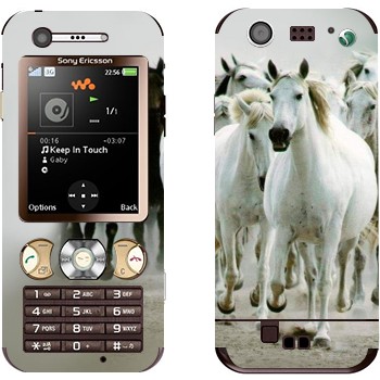 Sony Ericsson W890