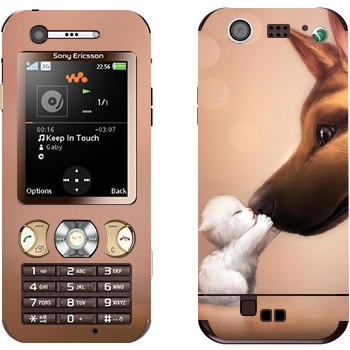 Sony Ericsson W890