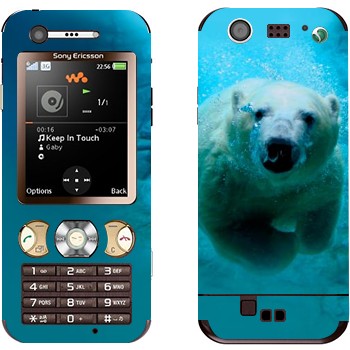 Sony Ericsson W890