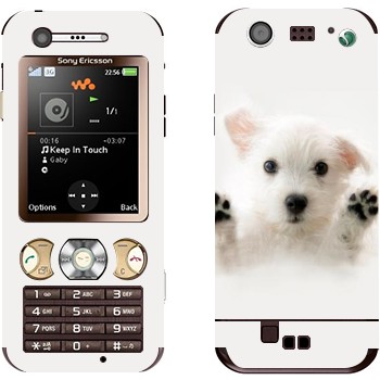   « »   Sony Ericsson W890