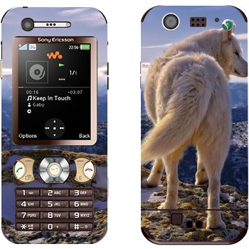   « »   Sony Ericsson W890