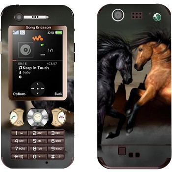 Sony Ericsson W890