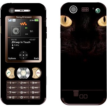   « »   Sony Ericsson W890