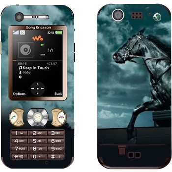   «   »   Sony Ericsson W890