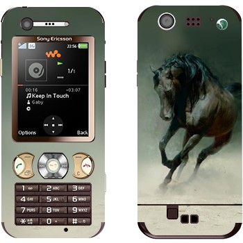   « »   Sony Ericsson W890