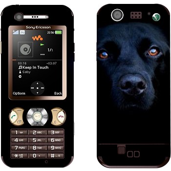   « »   Sony Ericsson W890