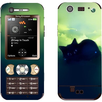 Sony Ericsson W890