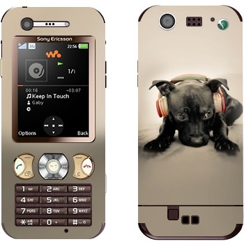 Sony Ericsson W890