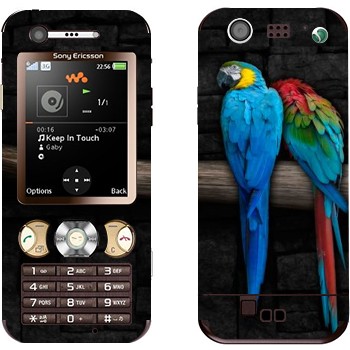 Sony Ericsson W890