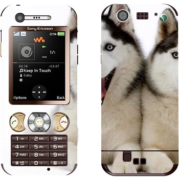   « »   Sony Ericsson W890