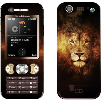 Sony Ericsson W890