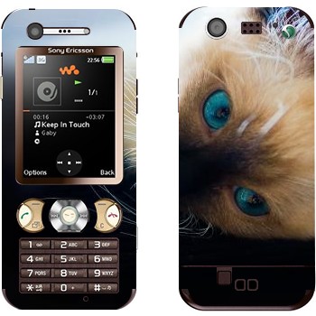   « »   Sony Ericsson W890