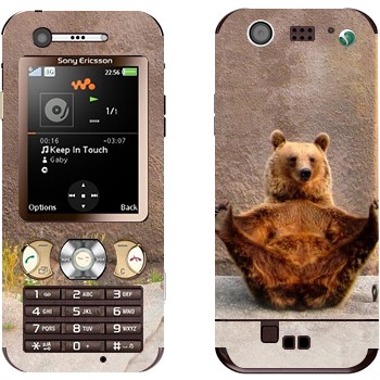 Sony Ericsson W890