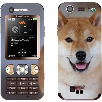 Sony Ericsson W890