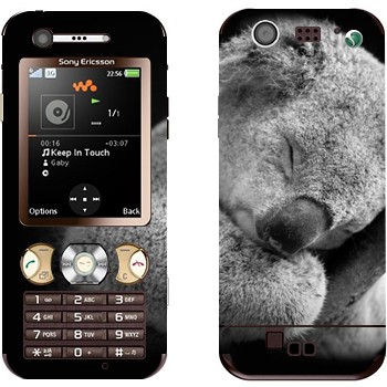 Sony Ericsson W890