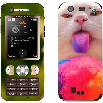 Sony Ericsson W890