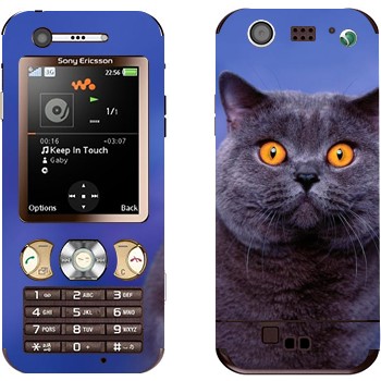 Sony Ericsson W890