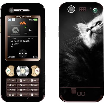   « -»   Sony Ericsson W890