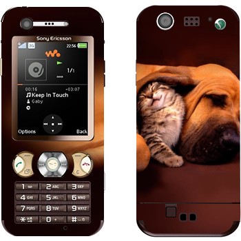 Sony Ericsson W890