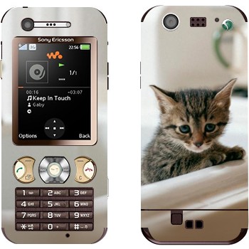 Sony Ericsson W890