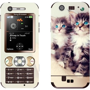 Sony Ericsson W890