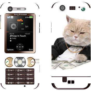   «»   Sony Ericsson W890