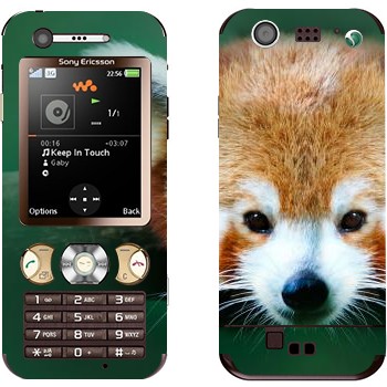   « »   Sony Ericsson W890