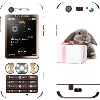 Sony Ericsson W890