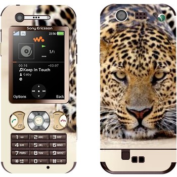   « »   Sony Ericsson W890