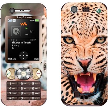 Sony Ericsson W890