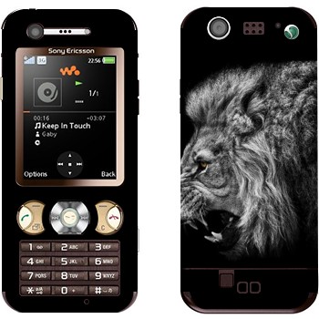 Sony Ericsson W890