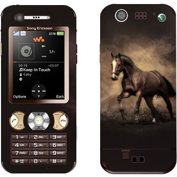 Sony Ericsson W890