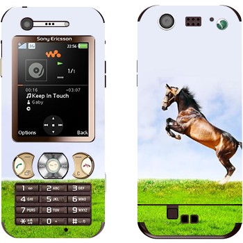   «    »   Sony Ericsson W890