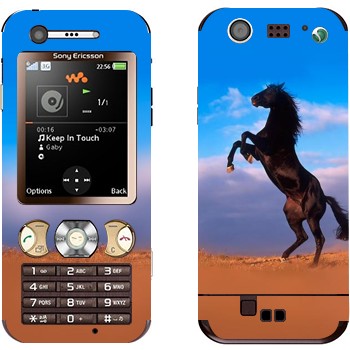   «  »   Sony Ericsson W890