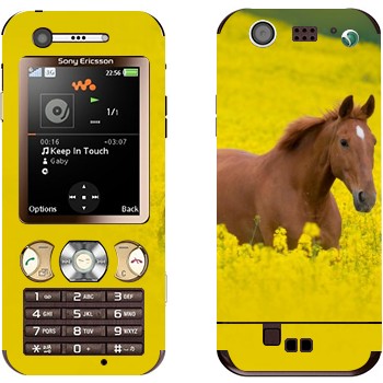 Sony Ericsson W890