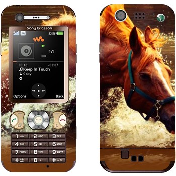 Sony Ericsson W890